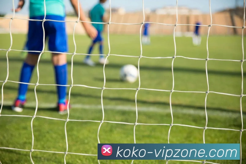 KOKOAPP 封面图